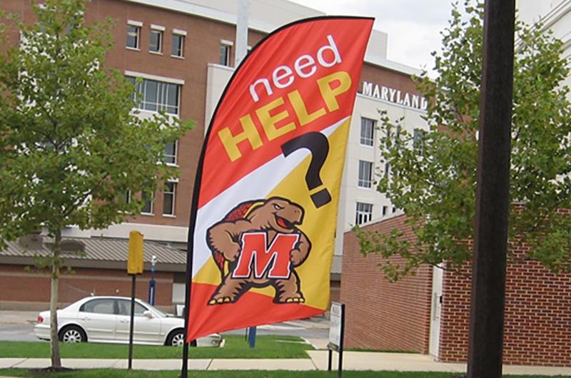 Photograph of Banner Ground Flag showing Testudo